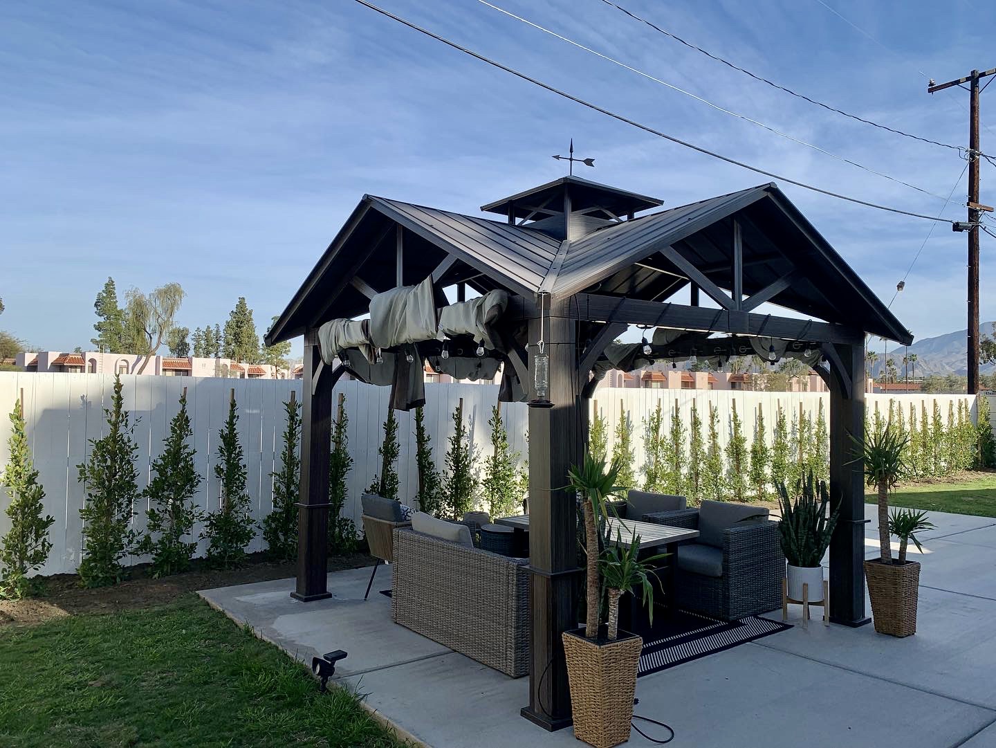 Backyard gazebo framed by a newly planted Ficus privacy hedge along a white fence